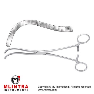Guyon Kidney Pedicle Clamp Curved Stainless Steel, 21.5 cm - 8 1/2"